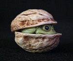 Frog in Walnut