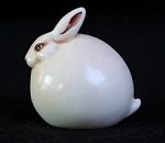 Arctic Hare
