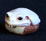 Ivory Hazel Frog