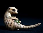 Kalahari Kit