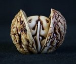 Mice In Walnut