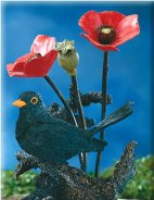 Blackbird and Poppies