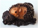 Sleeping Hedgehog and Strawberry