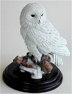 Snowy Owl