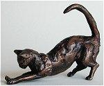Stretching Cat