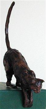 Jumping Cat