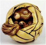 Sleeping Squirrel