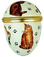 Cats Egg