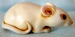 Mouse Charm