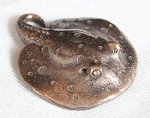 Bronze Sting Ray