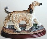 Afghan Hound