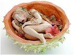 Sleeping Fairy in Nut
