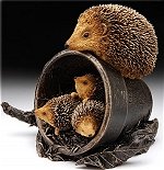 Hedgehog Family