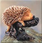 Hedgehog Sleeping