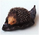 Baby Hedgehog on Leaf