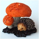 Baby Hedgehog with Mushrooms