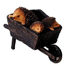 Bowbrook Hedgehogs