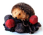 Hedgehog  with Strawberry