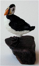 Puffin