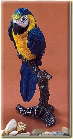 Parrot Blue and Gold