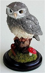 Little Owl