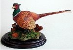 Pheasant