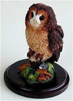 Tawny Owl