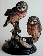 Little Owl Pair