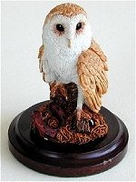 Barn Owl