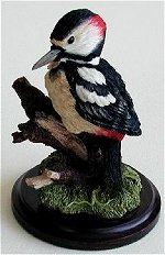Woodpecker