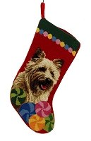 Cairn Terrier