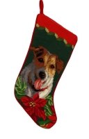 Jack Russel Close Up
