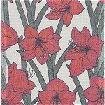 Amaryllis