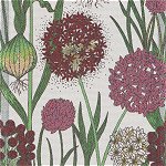 Allium