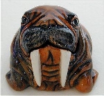Paul the Walrus