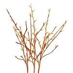 Orange Glitter Lighted Branches