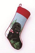 Newfoundland