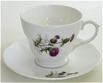 Cup and Saucer Thistle