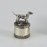 Dalmation
